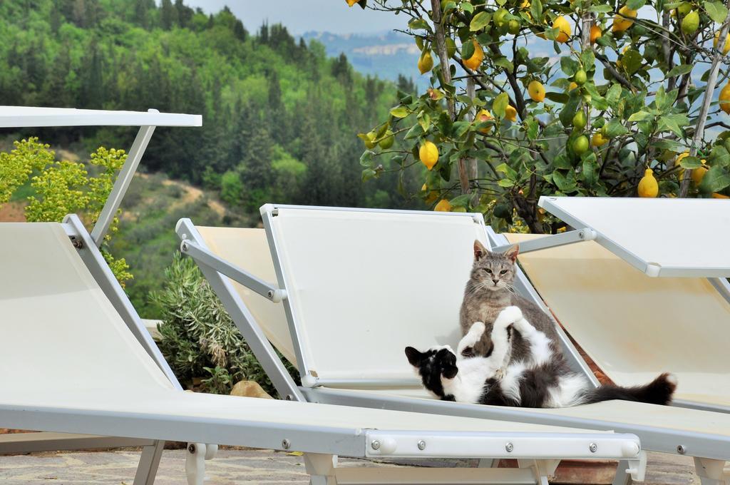 Agriturismo La Villa Romita Tavarnelle Val di Pesa Eksteriør bilde