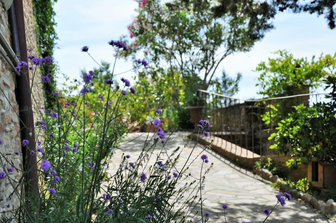 Agriturismo La Villa Romita Tavarnelle Val di Pesa Eksteriør bilde